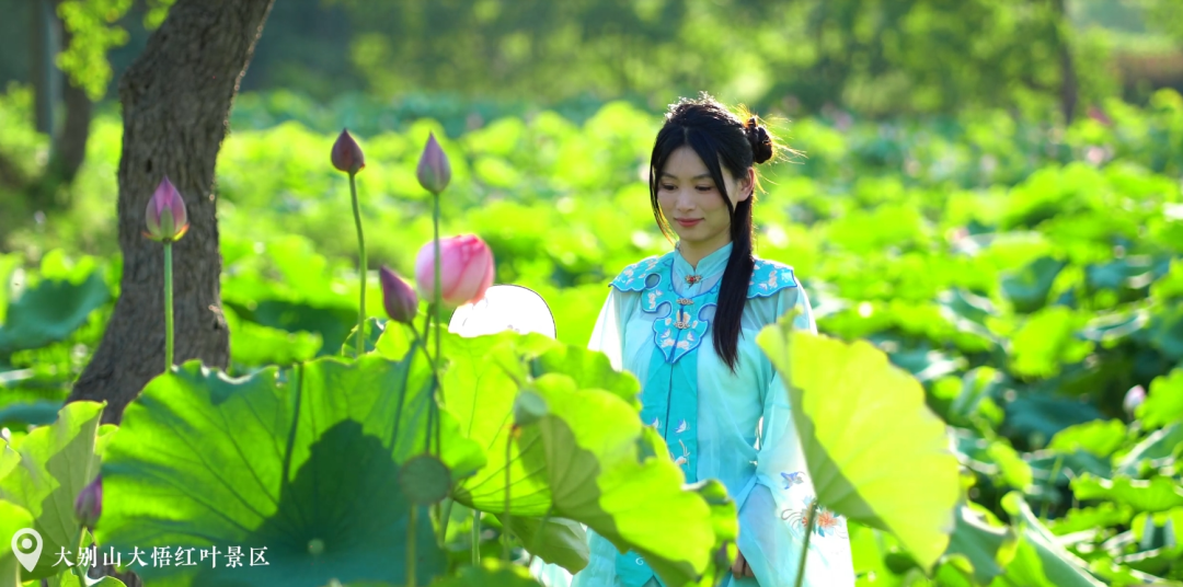 爆红预警！大悟红叶景区“荷尔蒙暴击”，快来打卡！